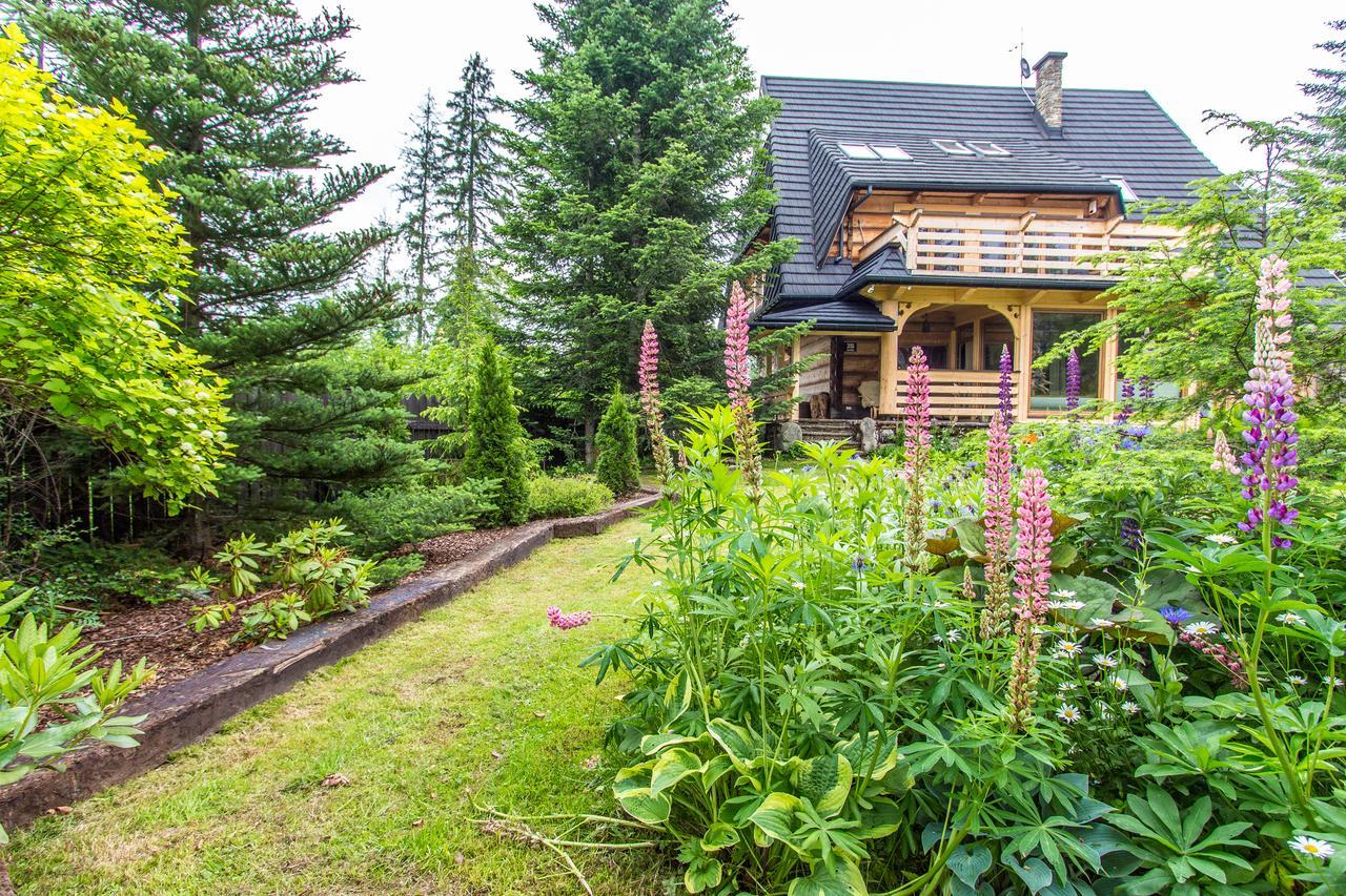 Apartamenty Bialy Potok Witów Dış mekan fotoğraf